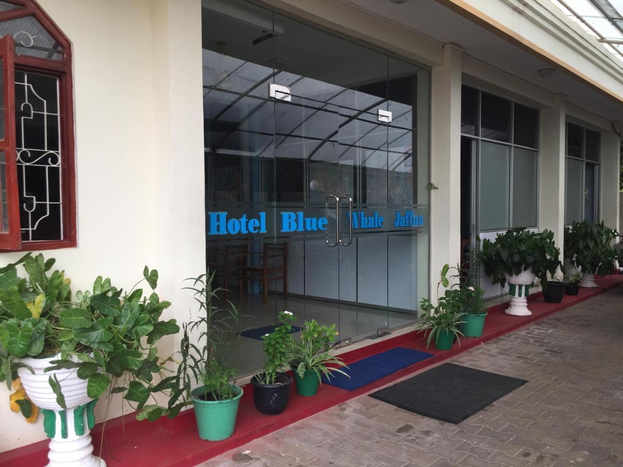 Hotel Blue Whale Джафна Екстер'єр фото