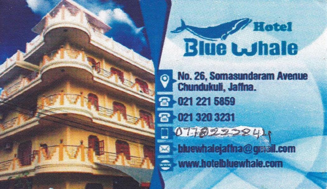 Hotel Blue Whale Джафна Екстер'єр фото
